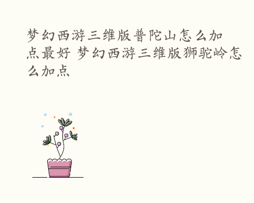 梦幻西游三维版普陀山怎么加点最好 梦幻西游三维版狮驼岭怎么加点