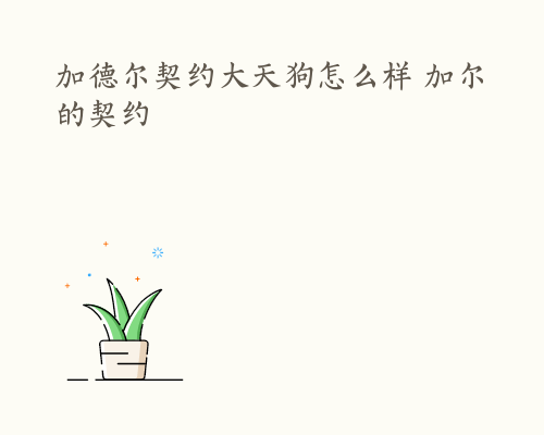 加德尔契约大天狗怎么样 加尔的契约