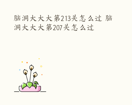 脑洞大大大第213关怎么过 脑洞大大大第207关怎么过
