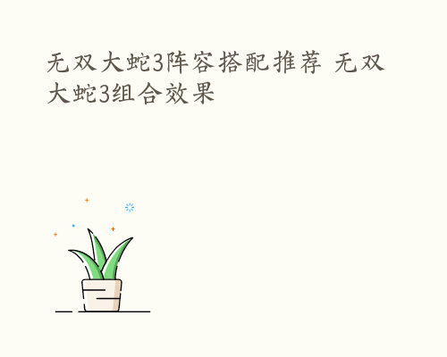 无双大蛇3阵容搭配推荐 无双大蛇3组合效果