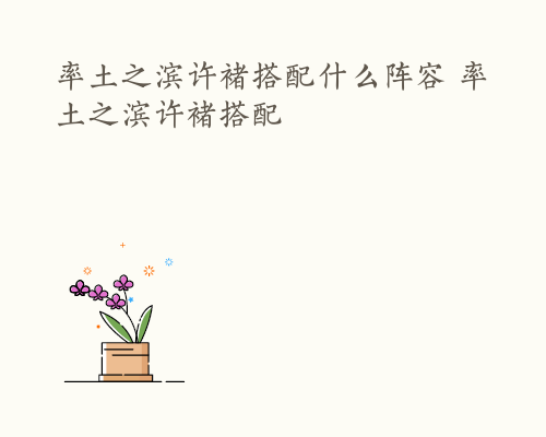 率土之滨许褚搭配什么阵容 率土之滨许褚搭配