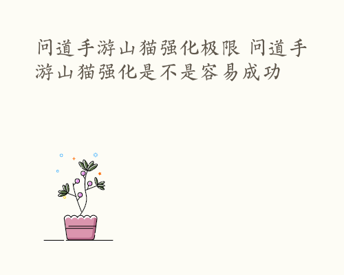问道手游山猫强化极限 问道手游山猫强化是不是容易成功