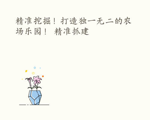 精准挖掘！打造独一无二的农场乐园！ 精准抓建
