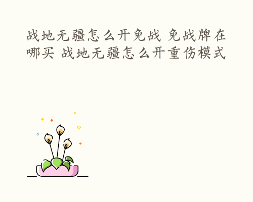 战地无疆怎么开免战 免战牌在哪买 战地无疆怎么开重伤模式